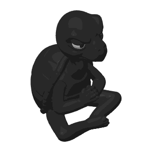 Grumpy Zen Turtle